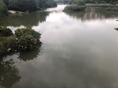 -金山公园