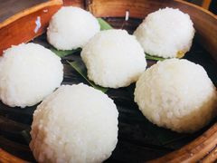 茨毛圆子-双塔老饭店