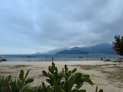 -花海间·即刻露营