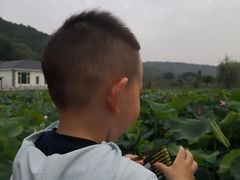 -龙寺生态园