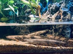 -太平洋海底世界