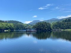 -庐山风景区花径公园