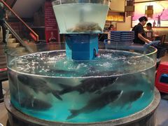 -魏铭鱼头捞饭(晋阳路店)