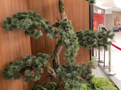 -新白鹿餐厅(虹桥南丰城店)