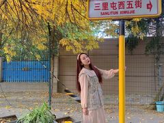 -三里屯东五街银杏大道