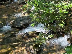 -鼎湖山风景区