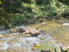 -广州白江湖森林公园