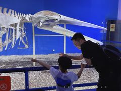 -福州罗源湾海洋世界旅游区