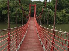 -上海吴淞炮台湾国家湿地公园