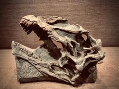 -自贡恐龙博物馆