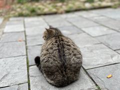 -人民公园-相亲角