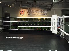 -花环泰拳·勒德斯拉泰拳馆(静安店)