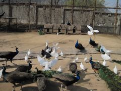 -西安秦岭野生动物园