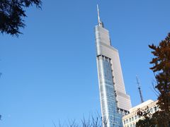 -紫峰大厦