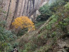 -武夷山风景名胜区-虎啸岩