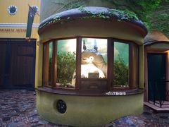 -三鹰之森吉卜力美术馆