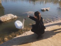 -鄂尔多斯野生动物园