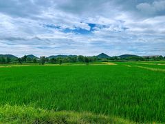 -良渚古城遗址公园