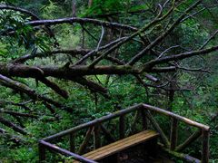 -龙苍沟森林公园
