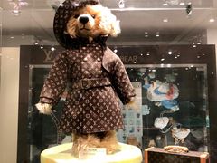 -济州岛泰迪熊博物馆