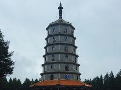 -塞罕坝国家级自然保护区