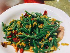 时迁黄瓜芽-兴农记