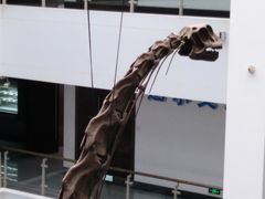 -中国地质大学逸夫博物馆