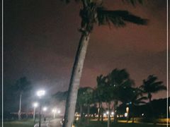 -野狸岛