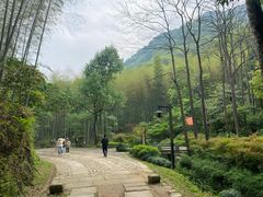 -黄公望隐居地
