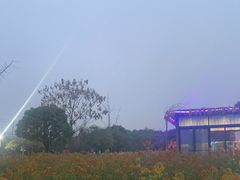 -洪湖家庭农场·团建·露营·会议