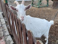 -清风小镇闯关东影视基地