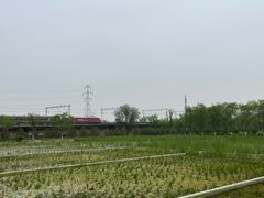 -永定河休闲森林公园