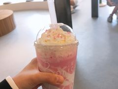 -飞行喵MR PILOT|猫舍·猫咖(静安大融城店)