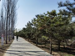 -东郊湿地公园