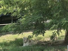 -秦皇岛野生动物园