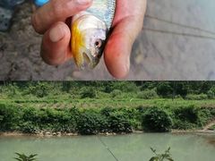 -华蓥山天意谷景区