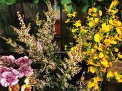 -ChaKo Flora ·茶子花艺 (市北店)
