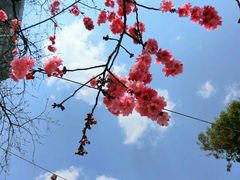 景点-昆明动物园