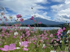 -富士山吉田線五合目