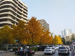 -中国人民解放军空军特色医学中心(空军总医院)