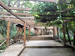 -大岭沟猕猴桃谷风景区