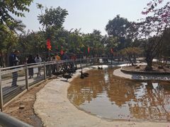 -长廊欢乐园