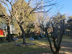 -长辛店二七公园