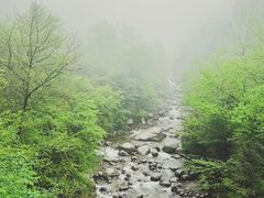 -青峰峡国家森林公园