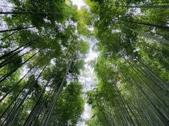 -苏州环秀晓筑养生度假村