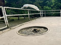 -哈尔滨北方森林动物园