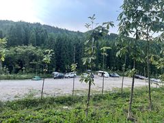 -武陵山森林公园