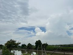 -海鸥岛河景湖大排档