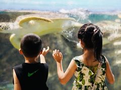 -福州罗源湾海洋世界旅游区