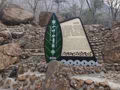 -山叶口景区